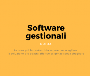 software gestionali guida